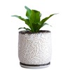 D'vine Dev 5 Inch Embossed Leaves Stoneware Planter Pot with