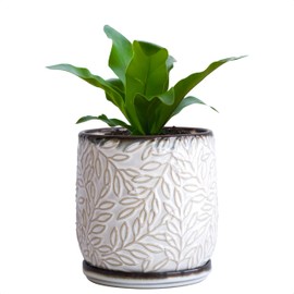 D'vine Dev 5 Inch Embossed Leaves Stoneware Planter Pot with Drainage Hole and Saucer, Smoked White, Set of 1, 27-A-V-1