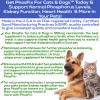 HealthyKidney PhosFix for Cats & Dogs: Phosphorus Binder for Cats