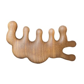 Baluue Massager Scalp Brush Wooden Hair Comb Portable Massage Tool for Blood Circulation