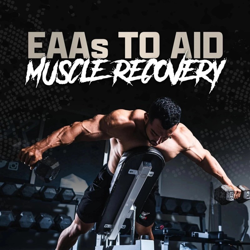 Nutrex 100% WHEY Protein Powder Bulk Size Whey Isolate Blend