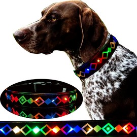 CUSTOMLIZE Night light up dog collar with waterproof airtag holder,super bright USB C rechargeable ajustable size for dogs (Black with running flashing led, M(11.8-15.7"))