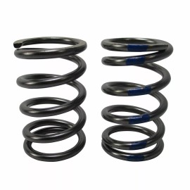 NR Racing Pair Heavy Duty Valve Springs 48lb (Blue Stripe) Honda GX270 GX390 420 Predators