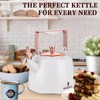 BERTILLE Teapot 2.5QT Whistle Exquisite Teapot for Stovetop, 18/8 Stainless
