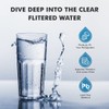 WF3CB Refrigerator Water Filter, Replacement for Pure Source 3, 706465,