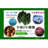 ML No Pesticides, Double Dark biwa Leaf Extract, t, 160ml – 3 Pack,