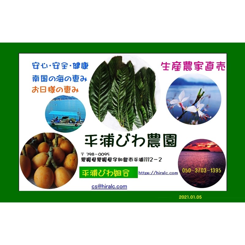 ML No Pesticides, Double Dark biwa Leaf Extract, t, 160ml – 3 Pack,