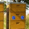 Lantelme Bee Flight Hole Rosette Set of 9 Made in