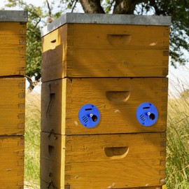 Lantelme Bee Flight Hole Rosette Set of 9 Made in Germany Bee Flight Hole Reducer Beekeeper Beekeeping Supplies Bee Escape Plastic (Green / Yellow / Blue)