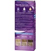 Palette Intensive Color Cream 10-1 Arctic Silver Blonde