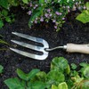 Burgon & Ball GTH/SHFRHS RHS Stainless Hand Fork