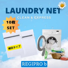 Regipro b Laundry Net, Mini Set of 10, Socks, Hat, for Bra, 9.1 x 11.8 inches (23 x 30 cm), Fine Type, Ash (10)