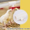12 Pack Chicken Waterer PVC Tee Fittings - Fully Automatic