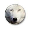 Wolf Wolf Grey Wolf European Wolf Fridge Magnets Set of