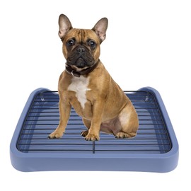AYNEFY Dog Toilet - Removable Mesh Training Pad Holder with Shovel and Stable Pee Pad for Indoor Puppy Potty Training