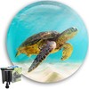 M. ROSENFELD HOME Universal Sink Plug 40 mm with Turtle