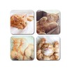 4 x Square Ginger Cats Coasters - Cute Animals Pets