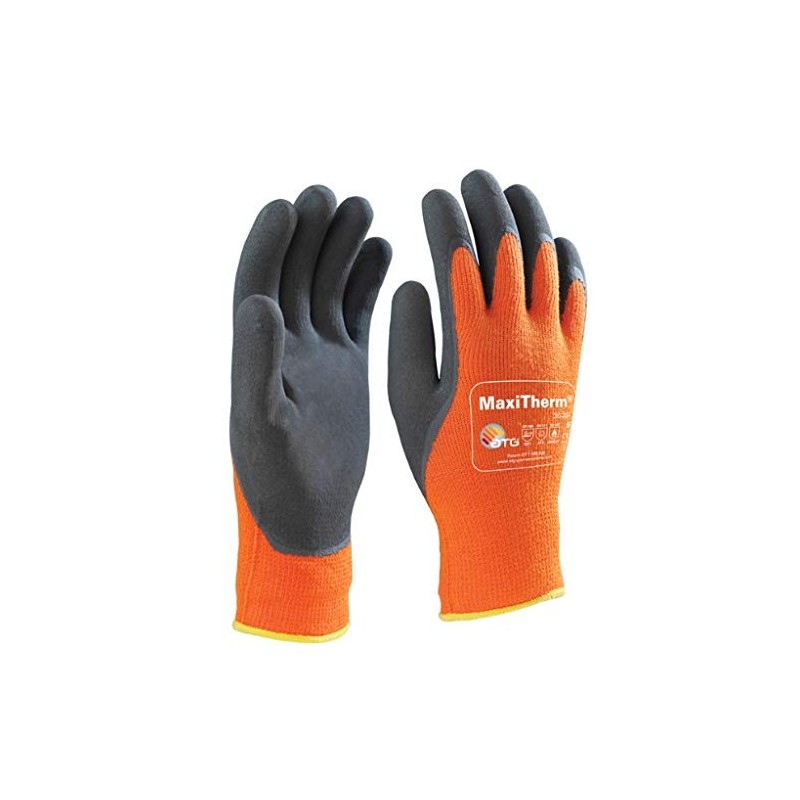 Fegemu A30-201-T11 Atg Maxitherm Model 30-201 T11