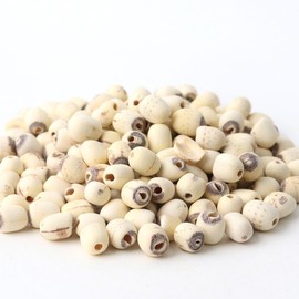 Donguihanjae 동의한재 껍질깐 연자육 연꽃씨 3kg Peeled Lotus Seeds 3kg