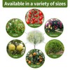 KYRGEU 2Pcs 8x8ft Fruit Tree Covers with Zipper and Drawstring,