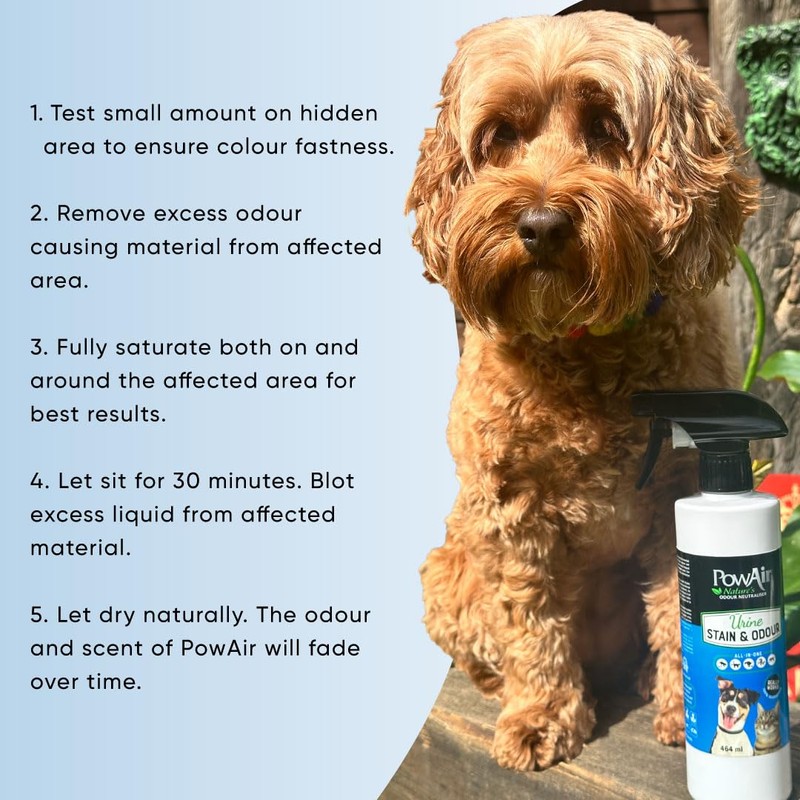 PowAir Urine Stains and Odour - Permanently Eliminates Stains and