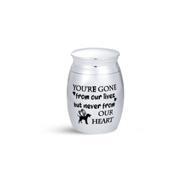 SBI Jewelry Small Urn for Dog Puppy Pets Angel Wing Paw Cremation Urns for Ashes Memorial Keepsake