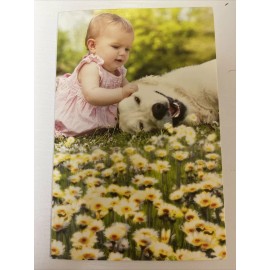 american greetings Cutness Overload! Baby Puppy Birthday Card Retail Price 3.29