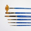 Winsor & Newton Cotman Brush Wallet Cass Exclusive Set of
