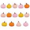 JarThenaAMCS 14Pcs Fall Iron-On Sew-On Patch Pink Orange Pumpkin Heat