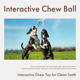 Mira's Pocket Indestructible Chew Toy for Aggressive Chewers - Durable Rubber Dog Teething Ball with Rope, Boredom Relief Puppy Toys (Blue, Small) (Green, Small)