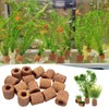 Rainmae 16 Pcs Aquatic Water Plant Fixed Rings, Water Plants