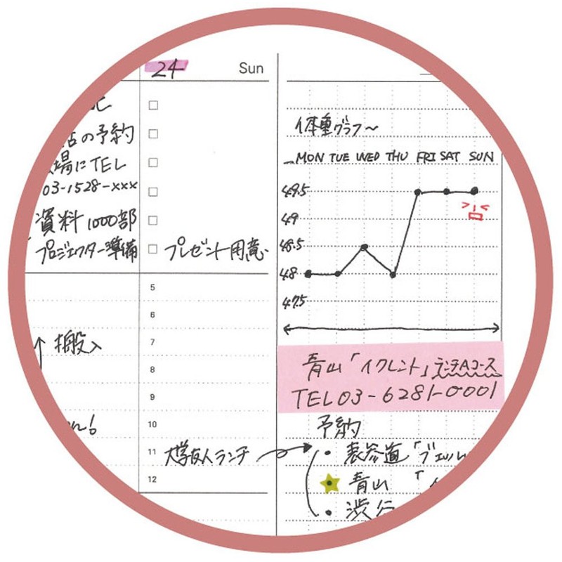 Raymei Fujii System Notebook, Free Weekly Schedule, Vertical Type B5