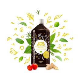 Vita Biosa Vita Biosa Ingwer + Vitamin C 1 Liter in Bio Qualit?t - Extra-Portion Ingwer fr die erfrischende Geschmacksnote - fermentiertes Lebensmittel auf Basis von Milchs?urebakterien und Kr?utern