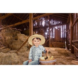 Baocicco 7x5ft Old Barn Backdrop Straw Hay Backdrop Farmhouse Hay Bale Backdrop Western Farm Backdrop Hay Church Nativity of Jesus Hayloft Scene Backdrop Newborn Baby Theme Vintage Wooden Barn Prop