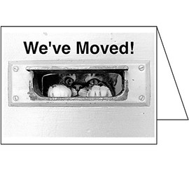 Change of Address GREETING CARDS, We've Moved! (Pack of 10 Cards & 10 Envelopes) Moving Announcements FN4586CA