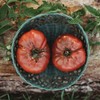Black Krim Heirloom Purple Slicing Tomato - 50 Seeds -
