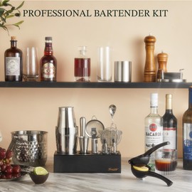 KITESSENSU Boston Shaker Set Mixology Bartender Kit | 15-Piece Cocktail Shaker Kit with Stand Professional Home Bar Tools Accessories: Martini Shaker, Lemon Squeez, Spoon, Muddler, Jigger.