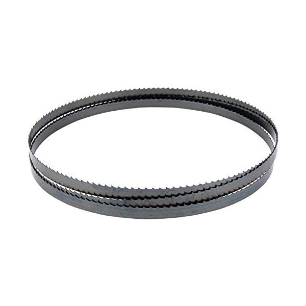 Dewalt DT8463-QZ Band Saw Blade, 835 x 12 x 0,5