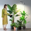 Garpsen Grow Lights for Indoor Plants, Full Spectrum 65'' Plant