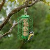 Foglish Home & Garden Squirrel-Proof Suet Fat Ball Bird Feeder,