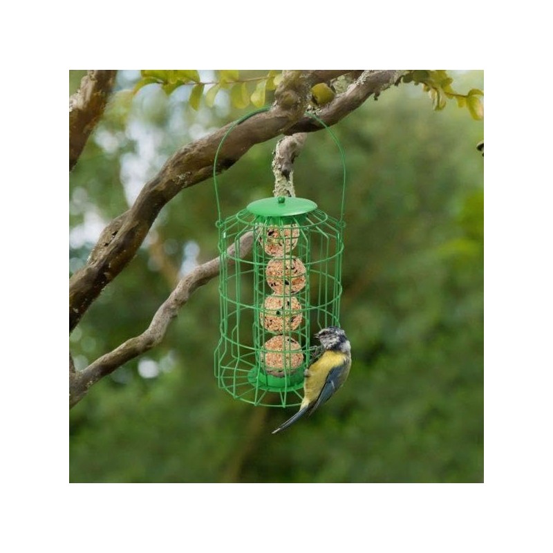 Foglish Home & Garden Squirrel-Proof Suet Fat Ball Bird Feeder,