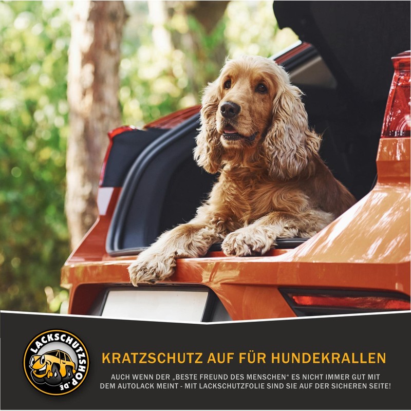 LACKSCHUTZSHOP Paint Protection Film Transparent Suitable for VW ID. Buzz/VW