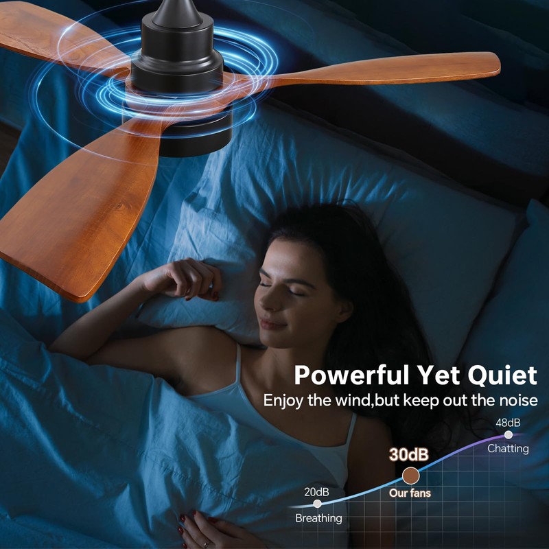 CACI Mall 48 inch Ceiling Fans with Lights, Smart Indoor/Outdoor