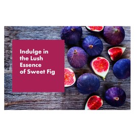 Arm & Hammer Plug in Scented Oil Starter Kit, Warmer with Night Light + 1 Refill, Sweet Fig, Eco Friendly, Air Freshener Essential Oils