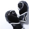 isami TN-8 Pound Gloves Sparring After Mixed Martial Arts (FREE)