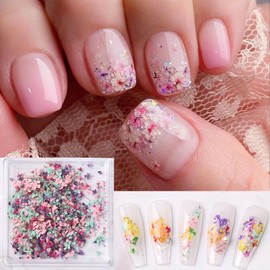 3D Nail Dried Flower Colorful Dry Flower for Nails Kit 1Box Dried Flowers for Spring Summer Acrylic Nails Design Nail Art Supplies Manicure Accessories Craft - DIY Mini Mix Flower Petals Nail Stickers