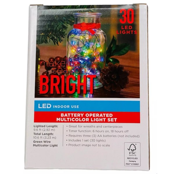 Make The Season Bright FAIRY LIGHTS 30 MULTICOLOR LED INDOOR