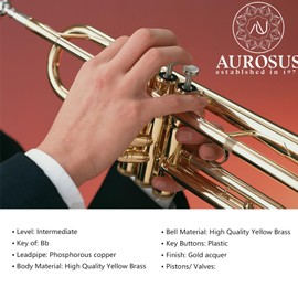 Aurosus bb trumpet 6331 brass b flat trumpet for beginners and intermediate players gold lacquer finish stainless steel valves phosphorus copper leadpipe hard case and accessories included