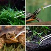 Ohtomber Aquascape Tools Aquarium Kit - 4PCS Terrarium Supplies Include