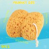 3 Bath Sponges, Natural Sea Water Sponge Wash Sponges for